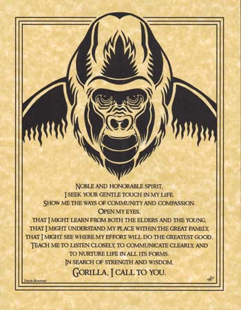Gorilla Prayer (image for) Gorilla Prayer