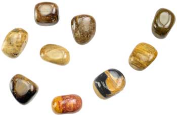 1 Lb Petrified Wood tumbled (image for) 1 Lb Petrified Wood tumbled