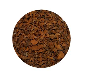 (image for) Sassafras Root cut 1oz (Sassafras albidium)