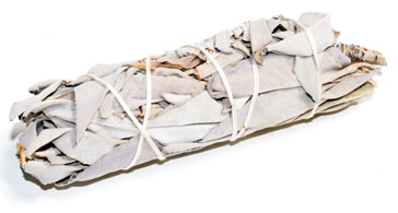 5" Sage & Palo Santo smudge (not bagged) (image for) 5" Sage & Palo Santo smudge (not bagged)