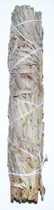 9" White Sage smudge stick (image for) 9" White Sage smudge stick