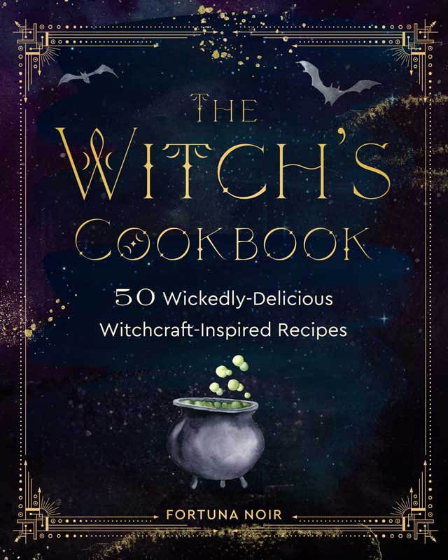 Witch's Cookbook (hc) by Fortune Noir (image for) Witch's Cookbook (hc) by Fortune Noir